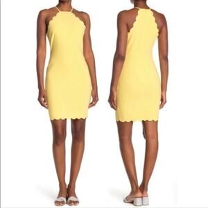Likely Everly Scalloped Trim Sheath Dress in Snapdragon Yellow 4 NWOT